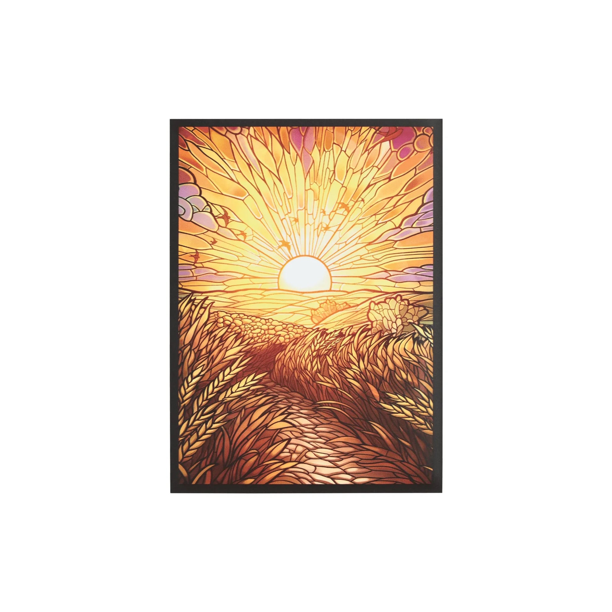 White - Golden Plains